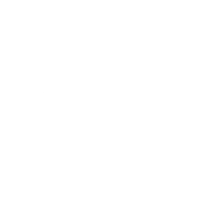 Dorf TV